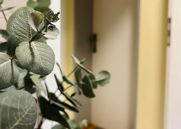 Maiplace Studio-apartment Apartmán Wulfrath