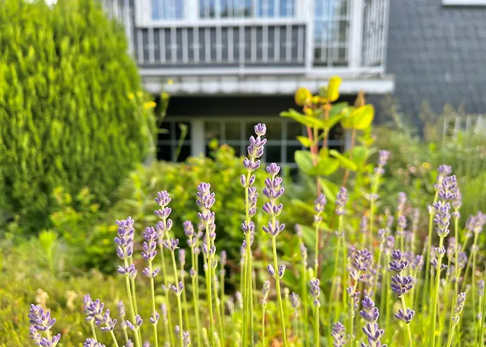 Apartmán Maiplace Studio-apartment *